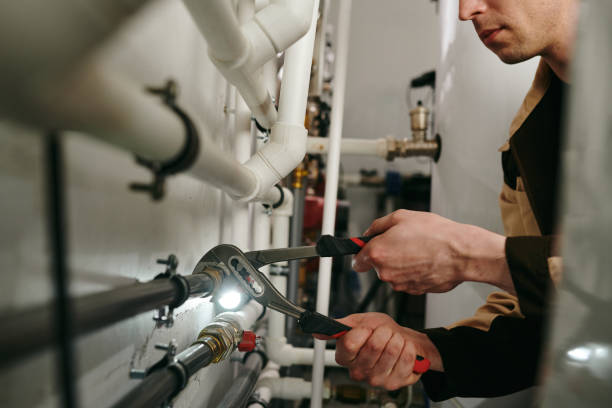Best Clogged Drain Plumber  in Monroe, MI
