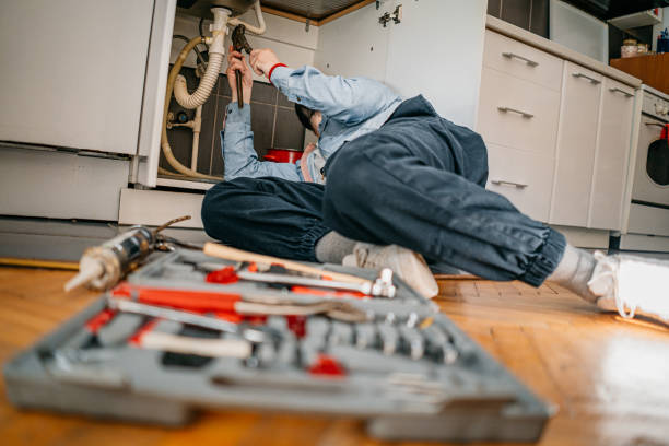 Best 24-Hour Plumber Near Me  in Monroe, MI
