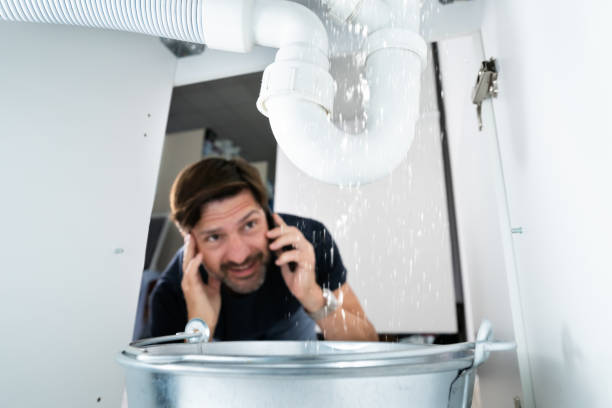 Best Commercial Plumbing Services  in Monroe, MI