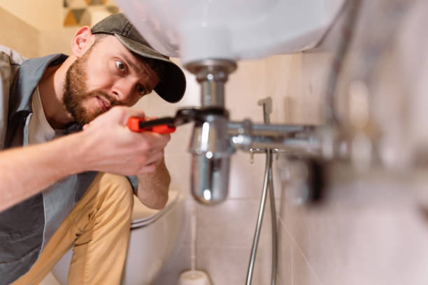 Best Emergency Plumbing Repair  in Monroe, MI