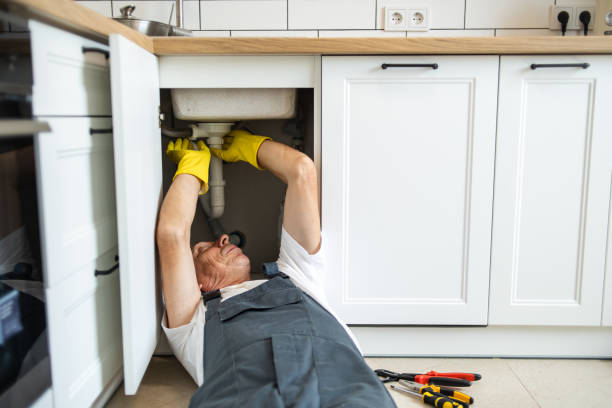 Best Plumbing Repair Near Me  in Monroe, MI