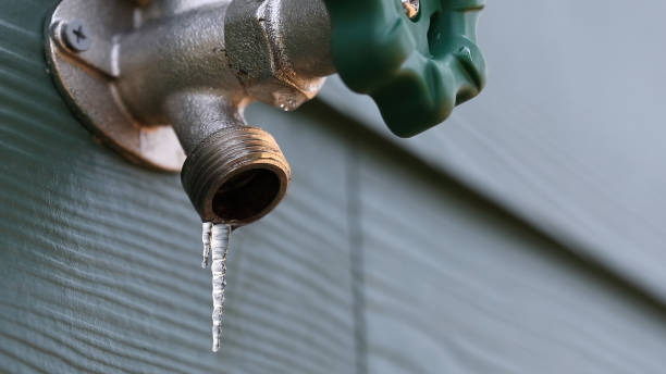 Best Septic Systems  in Monroe, MI