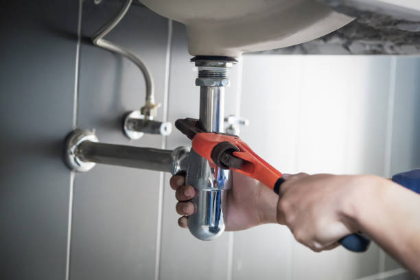 Best Clogged Drain Plumber  in Monroe, MI